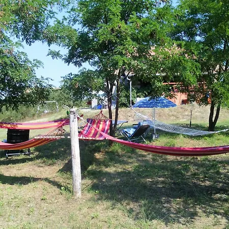 Auf Dem Weinberg In Latrany, Aszóhegy 25 Latrany