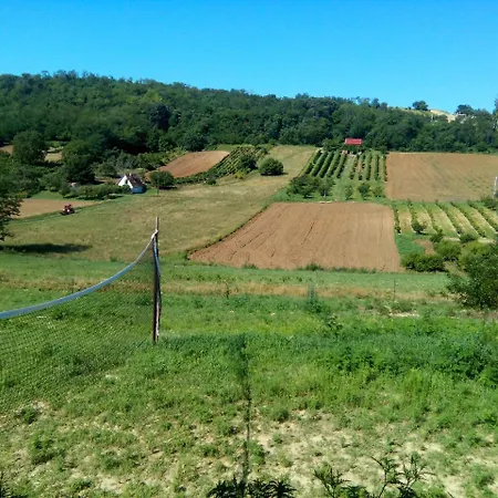 Auf Dem Weinberg In Latrany, Aszohegy 25 Daire